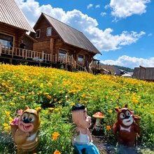 玖悦星野·民宿(白哈巴景区店)