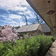 依雨山居民宿(白哈巴景区老村店)