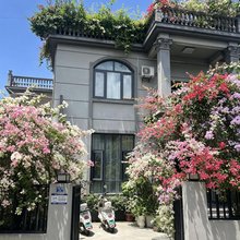 山禾小院·民宿(新玩厂店)