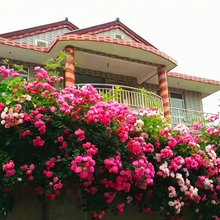 泰州溱缘客栈