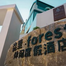 森里Forest休闲度假民宿