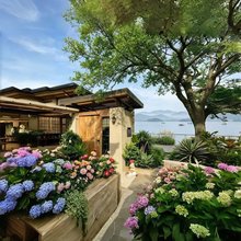 漫渡.Natural氧吧丨360º云层秘境.山海漫居(大落水码头店)