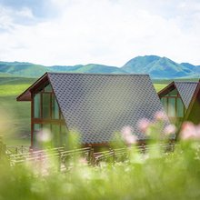 花舞朵吉营地