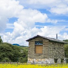 香格里拉达拉牧场
