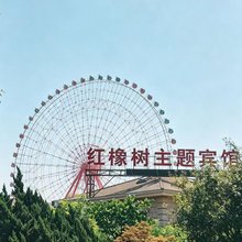 红橡树主题宾馆(大连金石滩发现王国店)