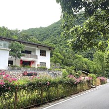 神农架萱草花园民宿