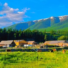 悠然居民宿(白哈巴特色村寨店)