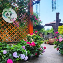 弄月峨眉山居民宿