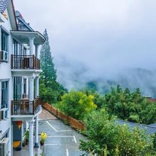 临安古树枫林民宿(指南村店)