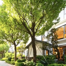 友丰·亲子度假别墅(大理古城南门景区店)