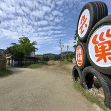 景宁云中大漈云巢民宿