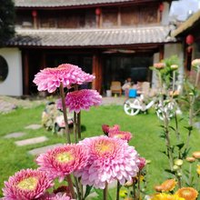墨染·流连忘返·乡村文艺别院(三义国际机场店)