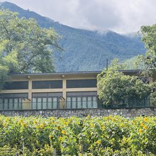 维西山纳里乡村民宿