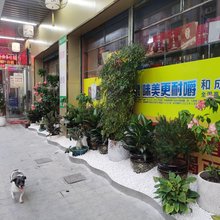 明新商务住宿(中山汽车总站店)