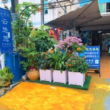 深圳云悠悠客栈