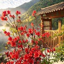 永嘉云深处客栈