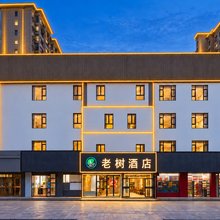 老树酒店(沧州肃宁火车站店)