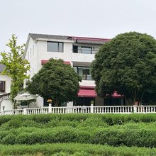 杭州坡上·此间