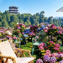 YO·MOON悦慢·檐边花屿·栖居美宿(丽江古城店)