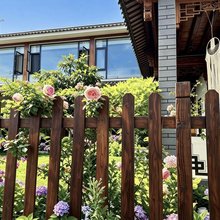 大理喜洲墨韵·以木居隐奢度假民宿(海舌公园店)