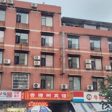 香樟树宾馆
