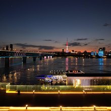 观澜艺术江景酒店(黄鹤楼武汉长江大桥店)