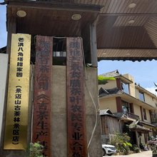 芒洪八角塔腊家园(景迈山古茶林景区店)
