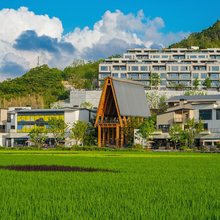 野酒店