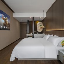 设计Faner酒店(成都植物园地铁站店)