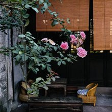 椿里茶院(东钱湖店)