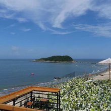 彩石滩赶海·黑排角海岸徒步营地(盐洲岛彩石滩店)