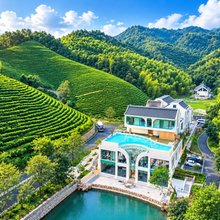 安吉清心谷白茶庄园