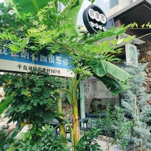 胡宿园精品民宿(千岛湖啤酒小镇店)