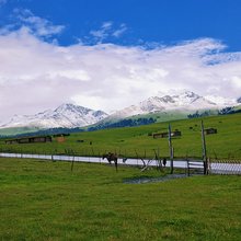 特克斯望峰居舍民宿