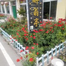 五莲醉翁亭客栈