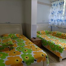 雨桐花园旅馆(花卉园地铁站店)