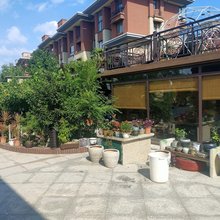 大连南海海景别墅