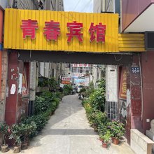 青春宾馆(县南街店)