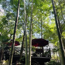 莫干山素心小筑
