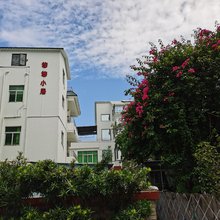 深圳悠悠小居客栈(杨梅坑桔钓沙店)