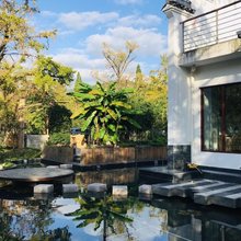 枰庐·GinkgoCourtyard｜中式庭院民宿