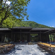 平武柿子树民宿