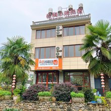 新昌棕榈小院民宿
