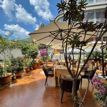 普明本青园