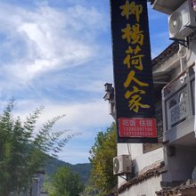 柳杨荷人家