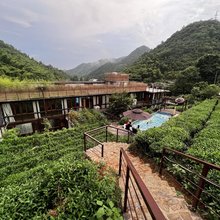 莫干山岭上茗墅茶文化温泉美墅