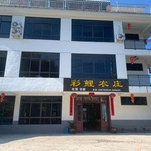 龙泉彩鲤农庄