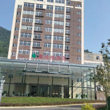 青桐树酒店