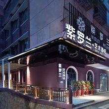 紫罗兰艺术酒店(岳阳楼步行街店)