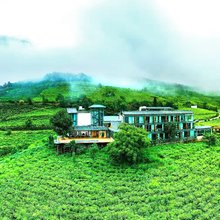 南涧藏茶谷无量玉璧半山庄园